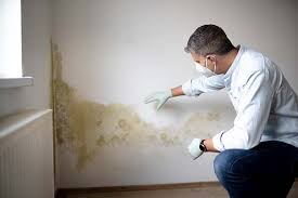 Mold Remediation for Rental Properties in Mount Penn, PA